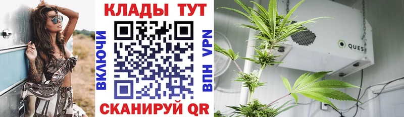 Сколько стоит Тверь Канабис Мефедрон Alpha PVP ГАШИШ