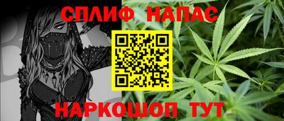 spice Кинель