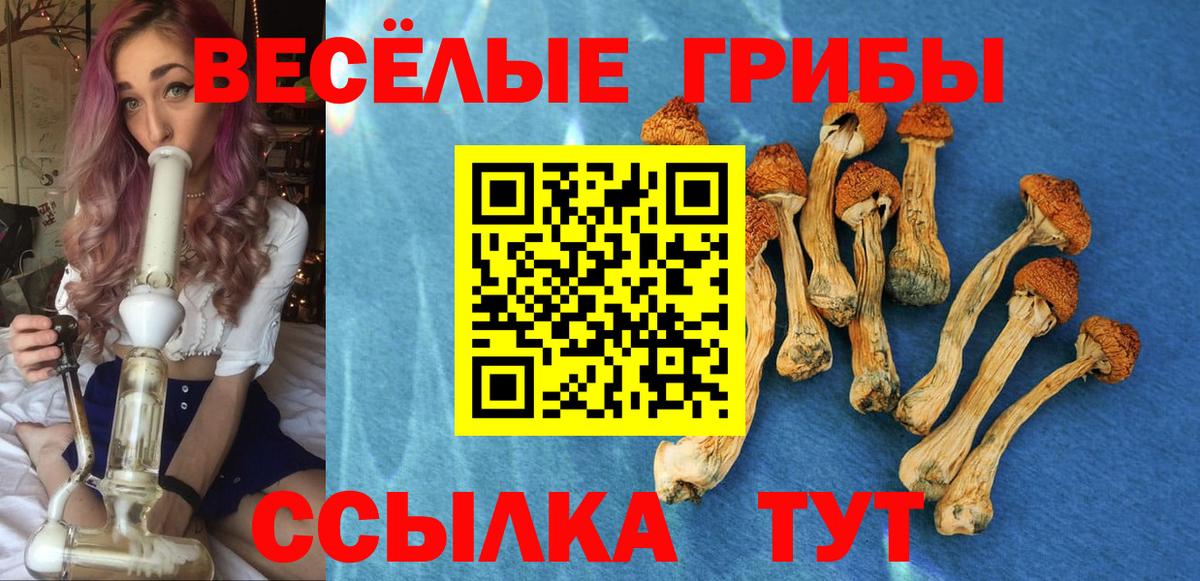 Псилоцибиновые грибы MAGIC MUSHROOMS  Вход с VPN  Тверь  Галлюциногенные грибы мухоморы 